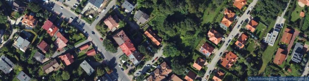 Zdjęcie satelitarne Player One