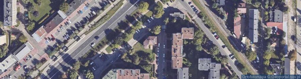 Zdjęcie satelitarne Polish Trans