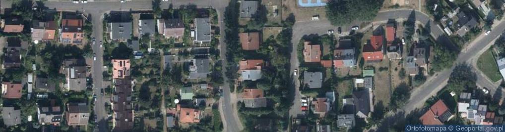 Zdjęcie satelitarne Pollo Przemysław Cesarski