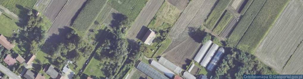 Zdjęcie satelitarne Poltrans