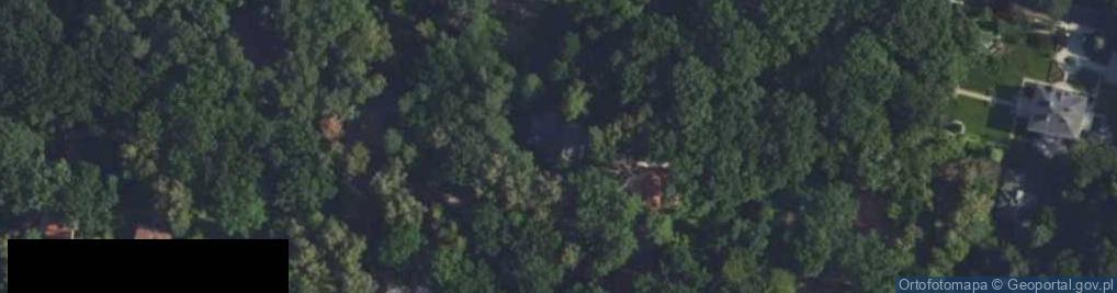 Zdjęcie satelitarne Polyco Sp. z o.o.