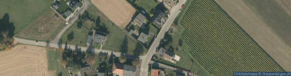 Zdjęcie satelitarne Powiatowe Stowarzyszenie Pszczelarzy w Reńskiej Wsi