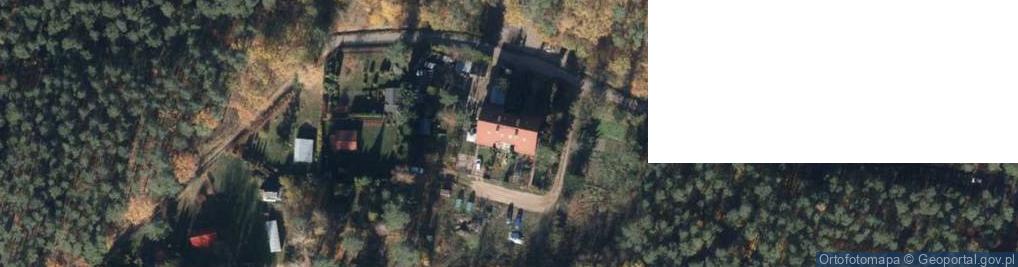 Zdjęcie satelitarne Pozyskiwanie Drewna w Lasach i Pielęgnacja Upraw Leśnych