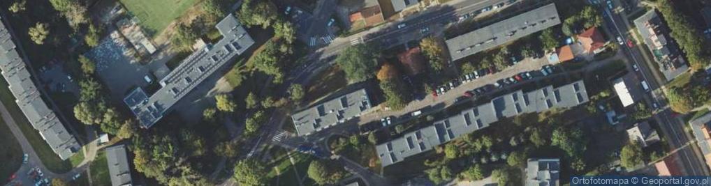 Zdjęcie satelitarne Pracownia Archeologiczna DR Jarosław Lewczuk