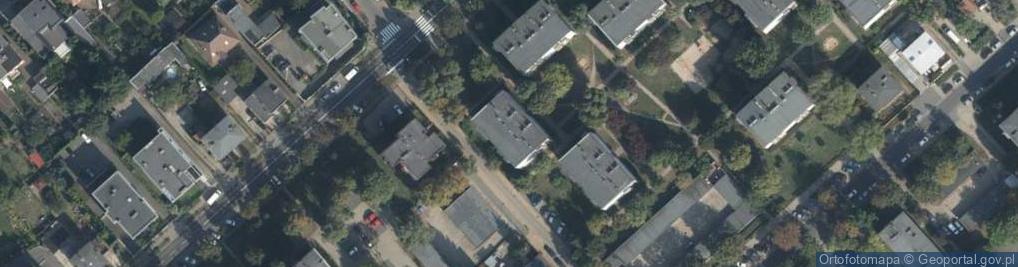 Zdjęcie satelitarne Pracownia Badań Historycznych i Archeologicznych Pomost