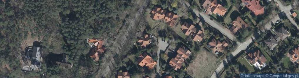 Zdjęcie satelitarne Prajm Tajm Rusin Lis Kinga