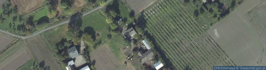 Zdjęcie satelitarne PrimaRent Anna Kramek