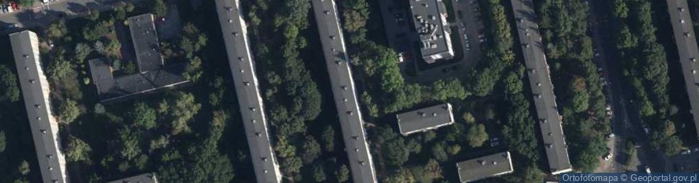 Zdjęcie satelitarne Primavera Handel Export Import