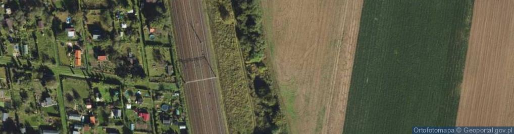 Zdjęcie satelitarne Profit Tax Audit