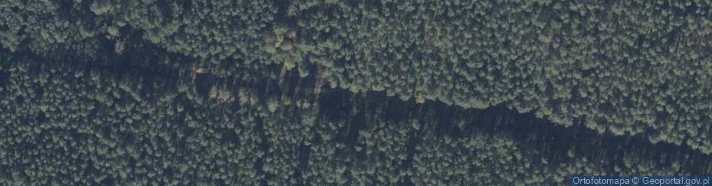 Zdjęcie satelitarne Przeds Produkcji Drzwi Bartkowiak M Bartkowiak T Promis Przybyszewo