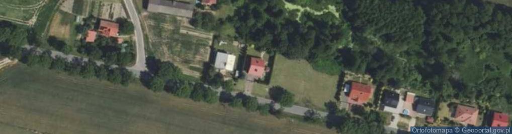 Zdjęcie satelitarne Przedsiębiorstwo Transportowo Handlowo Usługowe Zbigniew Kajkowski