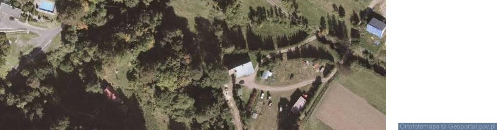 Zdjęcie satelitarne Przemysław Zając Przemysław Zając Ścinka Drewna Hodowla i Pielęgnacja Lasu