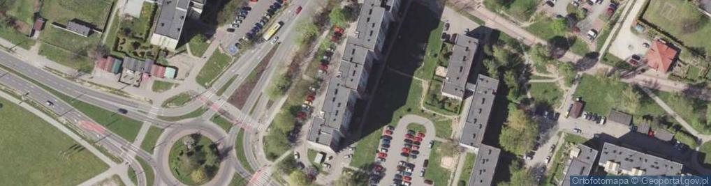 Zdjęcie satelitarne Przewóz Osób Turystyka Krajowa i Zagraniczna