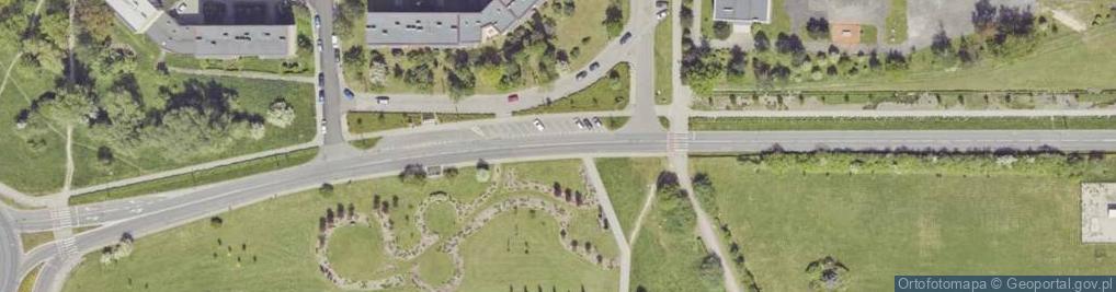 Zdjęcie satelitarne PSD 8