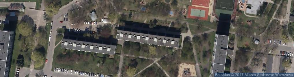 Zdjęcie satelitarne Psia Kość Marek Ciepły