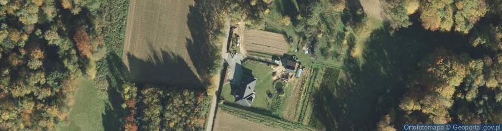 Zdjęcie satelitarne Raf Solid