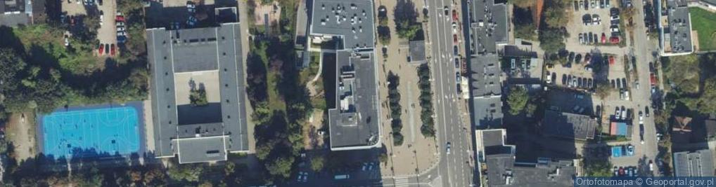 Zdjęcie satelitarne Raicon