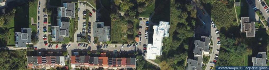 Zdjęcie satelitarne Reca Teresa