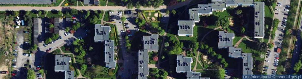 Zdjęcie satelitarne Red Wings