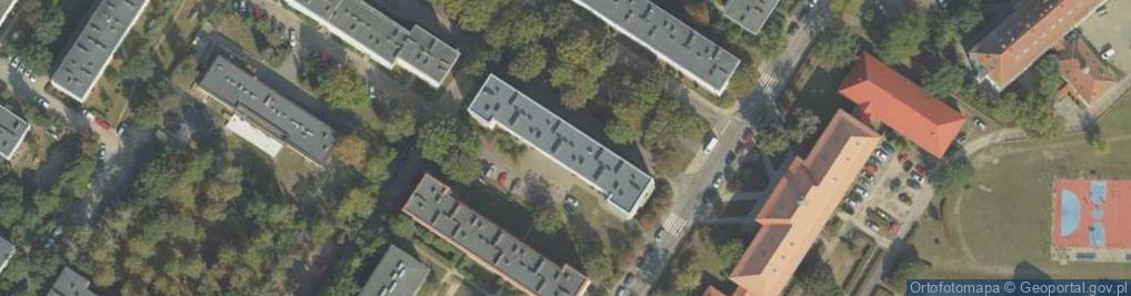 Zdjęcie satelitarne Redwood - Michał Orzechowski