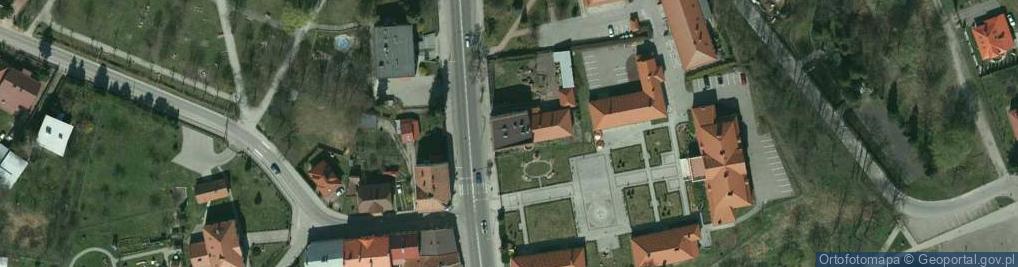 Zdjęcie satelitarne Remedium
