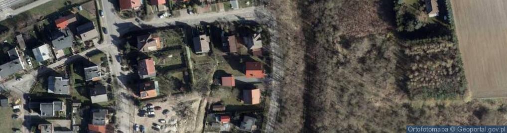 Zdjęcie satelitarne Renata Głos