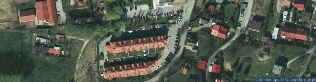 Zdjęcie satelitarne RENI