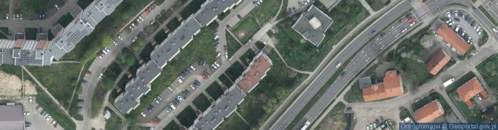 Zdjęcie satelitarne "Retro" Anna Szczecińska-Godyń
