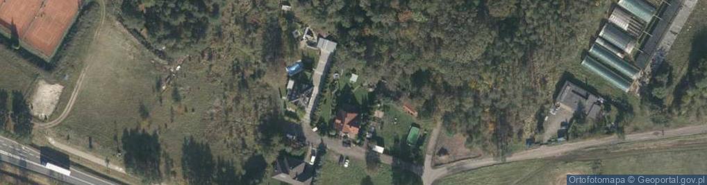 Zdjęcie satelitarne Revive Terstin Lichwała