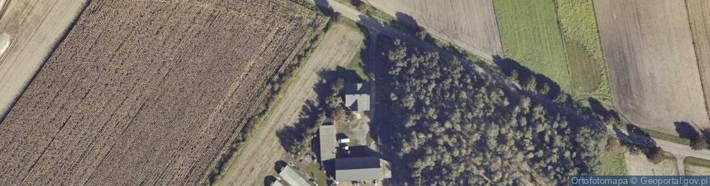 Zdjęcie satelitarne Rola Piotr Janczarek