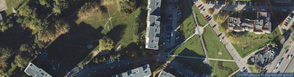 Zdjęcie satelitarne Roman Janke