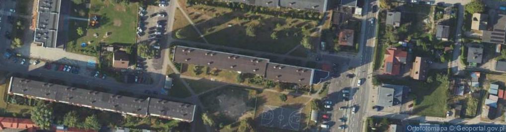 Zdjęcie satelitarne Romi