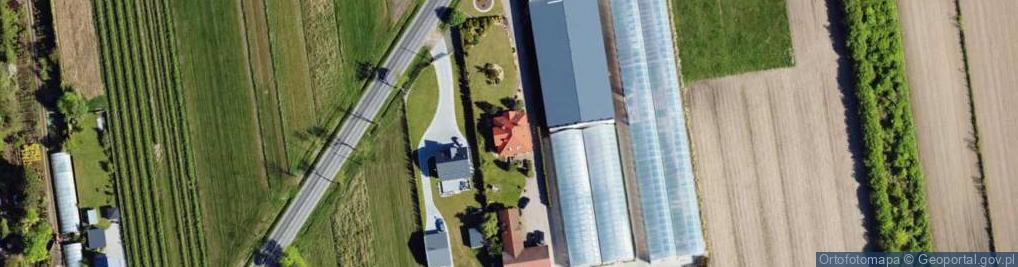 Zdjęcie satelitarne Roza Sobieszek szkółka roślin , szkółka róż , szkółka krzewów