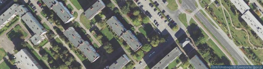 Zdjęcie satelitarne Rozmaitości