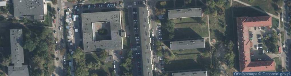 Zdjęcie satelitarne Rybka - Katarzyna Gajewska