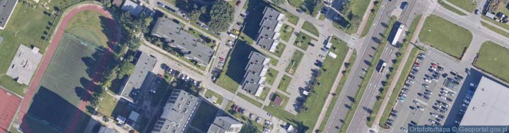 Zdjęcie satelitarne Ryszard Piasecki - Działalność Gospodarcza