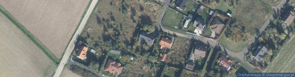 Zdjęcie satelitarne Rzeczoznawca