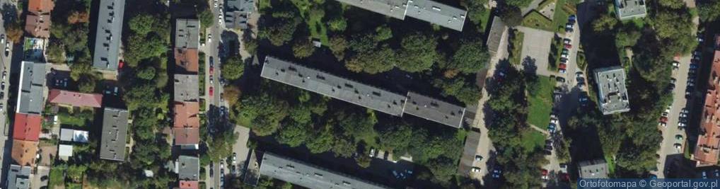 Zdjęcie satelitarne Sakura w Likwidacji