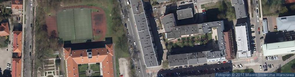 Zdjęcie satelitarne Salix