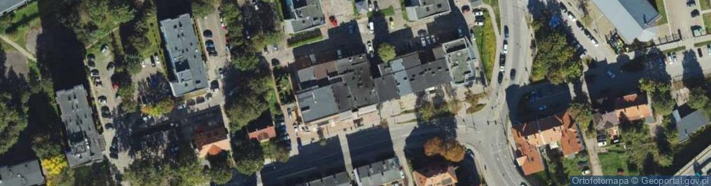 Zdjęcie satelitarne Salix