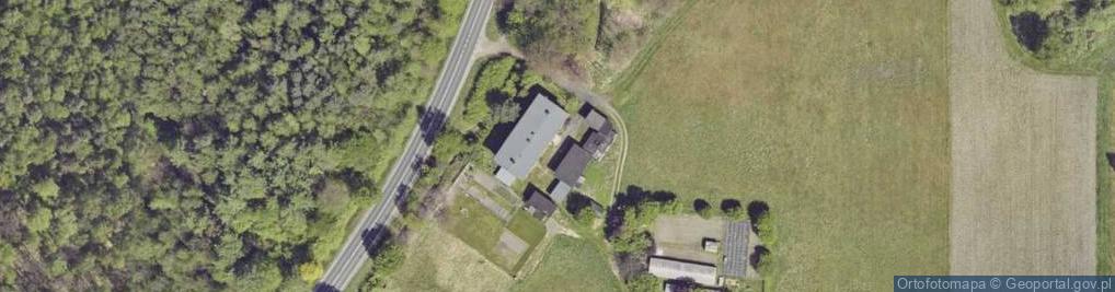 Zdjęcie satelitarne Saltus Łukasz Litwiński