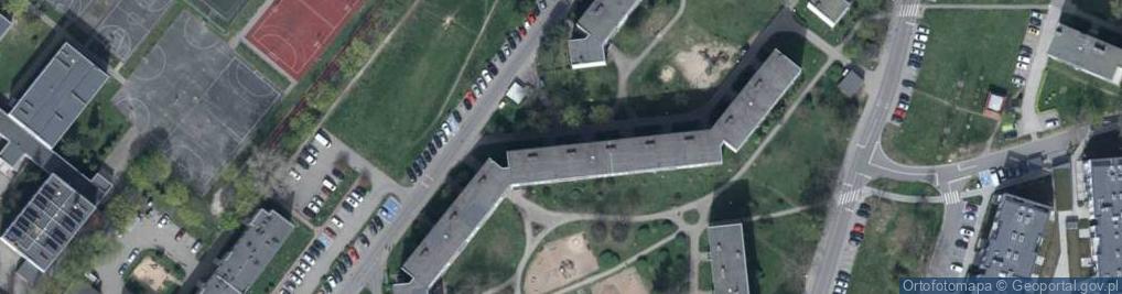 Zdjęcie satelitarne Sapling - Tomasz Palma