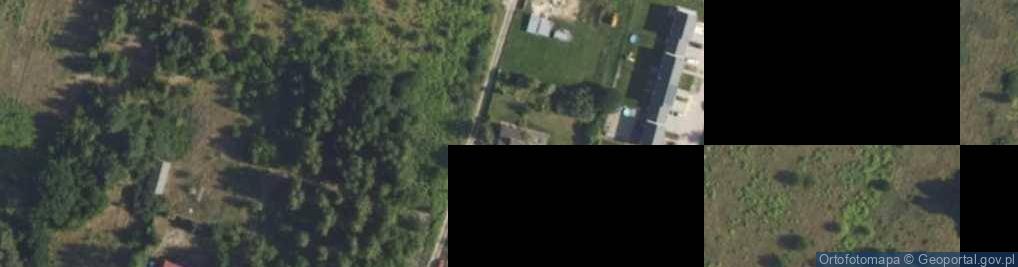 Zdjęcie satelitarne Savvy Horse