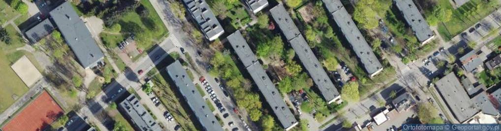 Zdjęcie satelitarne Scalax