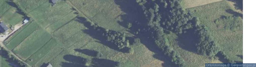 Zdjęcie satelitarne Schronisko PTTK w Dolinie Roztoki Anna Krupa