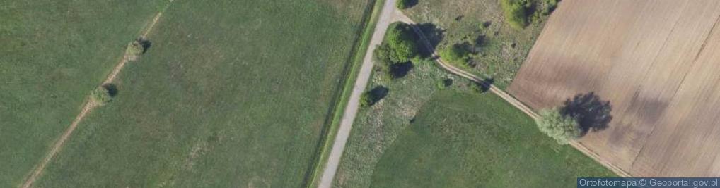 Zdjęcie satelitarne Selekt