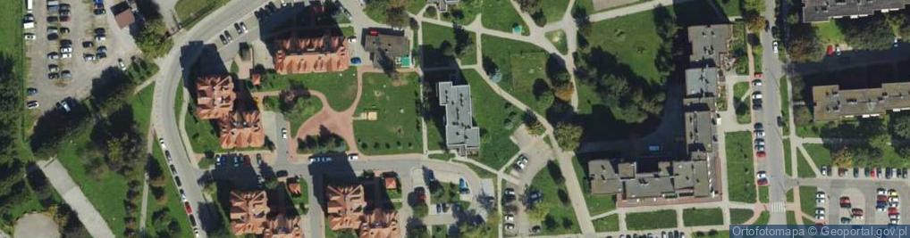 Zdjęcie satelitarne Selezio