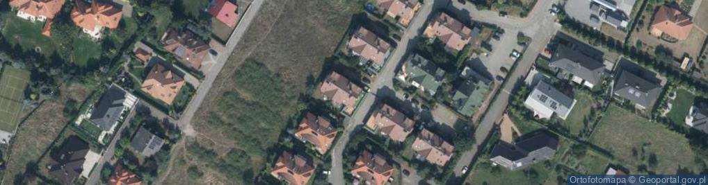 Zdjęcie satelitarne Shamrock Karolina Agnieszka Mazur