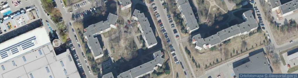 Zdjęcie satelitarne Show 4 Przemysław Krawczyk