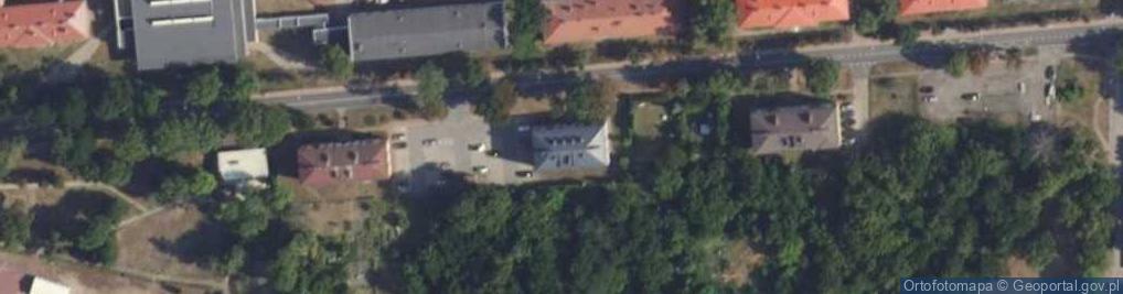 Zdjęcie satelitarne Sic Kinga Wilczyńska-Czyż